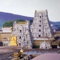 No Rush in Tirumala