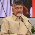 chandra babu slams ycp