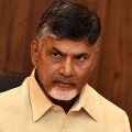 chandrababu fires on ap govt