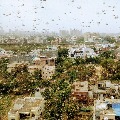 Locusts moves towards national capital region