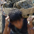 Telangana top in child labor cases