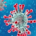 coronavirus cases in ap