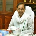 CM KCR thanked Tamilnadu CM and Tamilnadu people for their solidarity gesture