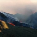 Massive wildfire engulfs large parts of Dzuko valley on Nagaland Manipur border