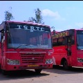 TSRTC Announce Special busses to AP and Telangana