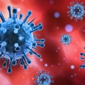UK virus shakes US by April says Antony Fouzy
