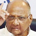 Even Indira Gandhi and Vajpayee lost elections says Sharad Pawar