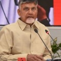 chandra babu slams ycp