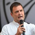 Looting From Public Rahul Gandhi Attacks Centre Over LPG Price Hike