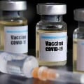 second phase corona vaccination dry run in India starts tomorrow