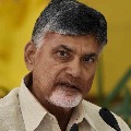 Jagan achieved nothing with Delhi tour says Chandrababu
