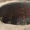 villagers find strange animal in a well in east godavari