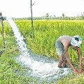 New rules in free electricity programme for agriculture in AP