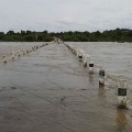 Heavy rains in the upper regions rising Godavari water level