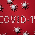 coronavirus cases in ap