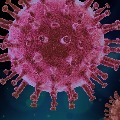 Globel Health care leaders survey on corona virus