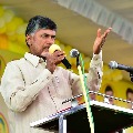 Chandrababu video conference with TDP senior leaders
