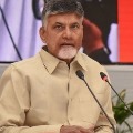 chandra babu slams ycp