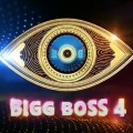 List of Bigg Boss Telugu 4 Contestents