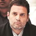 Modi is busy with peacocks says Rahul Gandhi