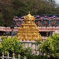 Govu Pooja performed in Vijayawada Durga Temple