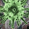 Global coronavirus count tops 54 million 