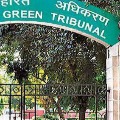National Green Tribunal verdict on Kaleswaram project