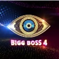 Bigg Boss fourth season starts