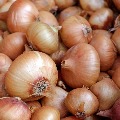 Union govt ban export of Onions