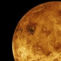 Evidence of Life on Venus