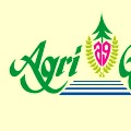 Telangana high court gives nod to AP government in Agrigold hearing
