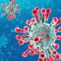  Coronavirus India cases  