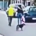 Stray dog helps a woman from a thief