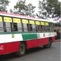 City Buses from Tomorrow in AP