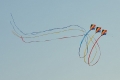 Government of Telangana To Celebrate International Kite Festival 2020