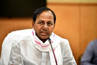 CM KCR new year gift to all govt employees