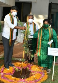Telangana Governor plants saplings at Raj Bhavan on World Environment Day