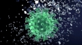 Telangana – Corona Virus (COVID-19) - Status update at 08.00 PM