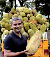 Indigenous green jackfruit flour that helps control blood sugar