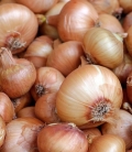 The central government bans the export of onions