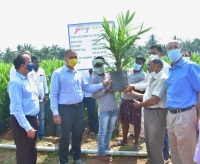 Godrej Agrovet Launches High Yield Oil Palm Saplings 