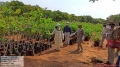 PccF Sobha visited Plantation sites and Nurseries