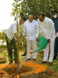 CM KCR plants Rudraksha sapling