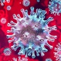 Corona virus weakens in high temperature says a study