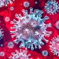 China starts to report asymptomatic coronavirus case