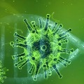 coronavirus cases in indias delhi 