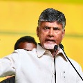 Chandrababu slams YSRCP government over BC reservation issue