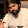 pawan kalyan about local body elections