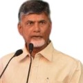 Chandrababu severe comments on Minister Peddy Reddy