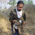 Tiger cub found in Chandrapur